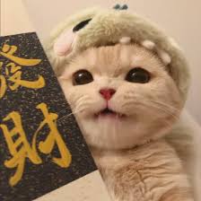 Chuyên gia